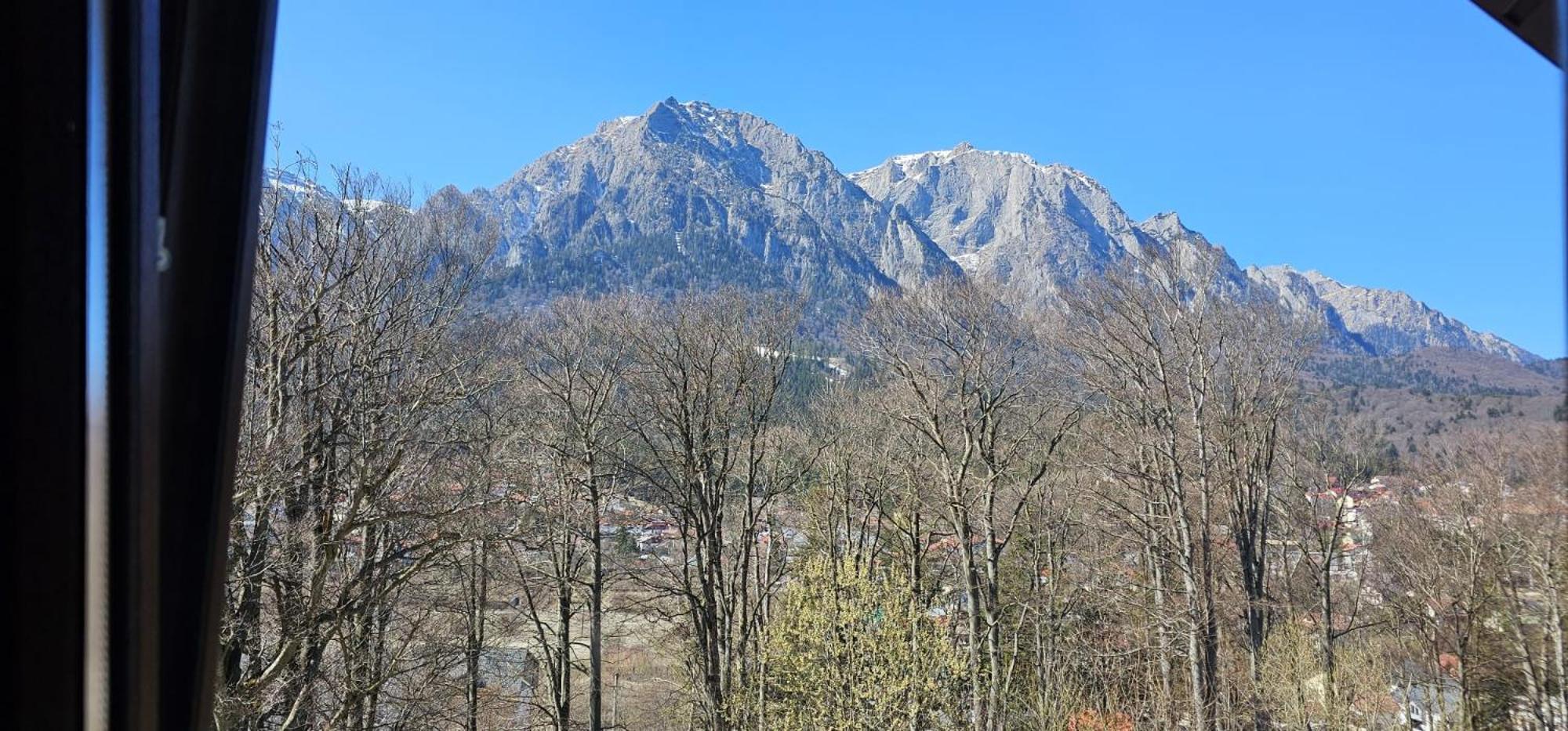 Pensiunea Clasic Buşteni Exterior foto